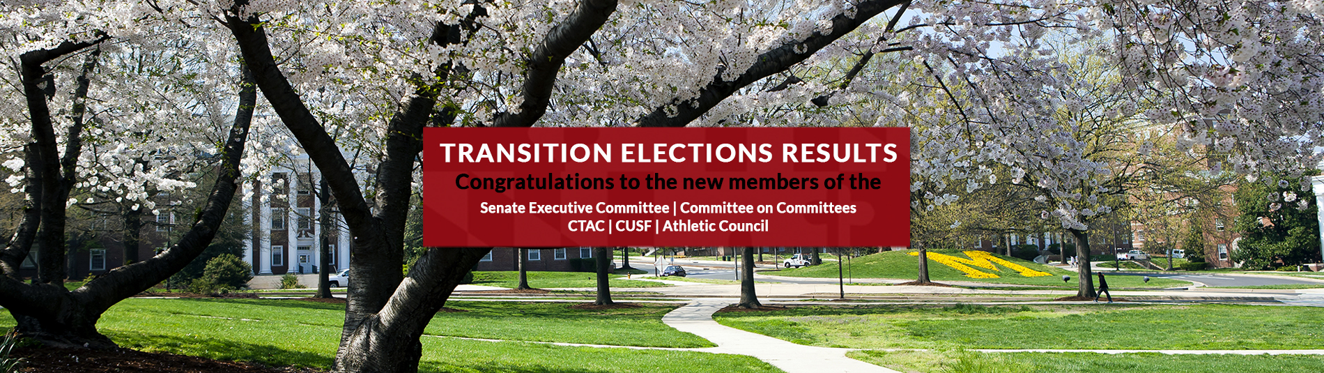 Transition Elections Results